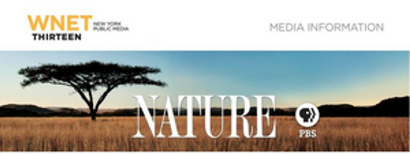 NATURE on PBS Announces 39th Season NATURE on PBS Announces 39th Season Image