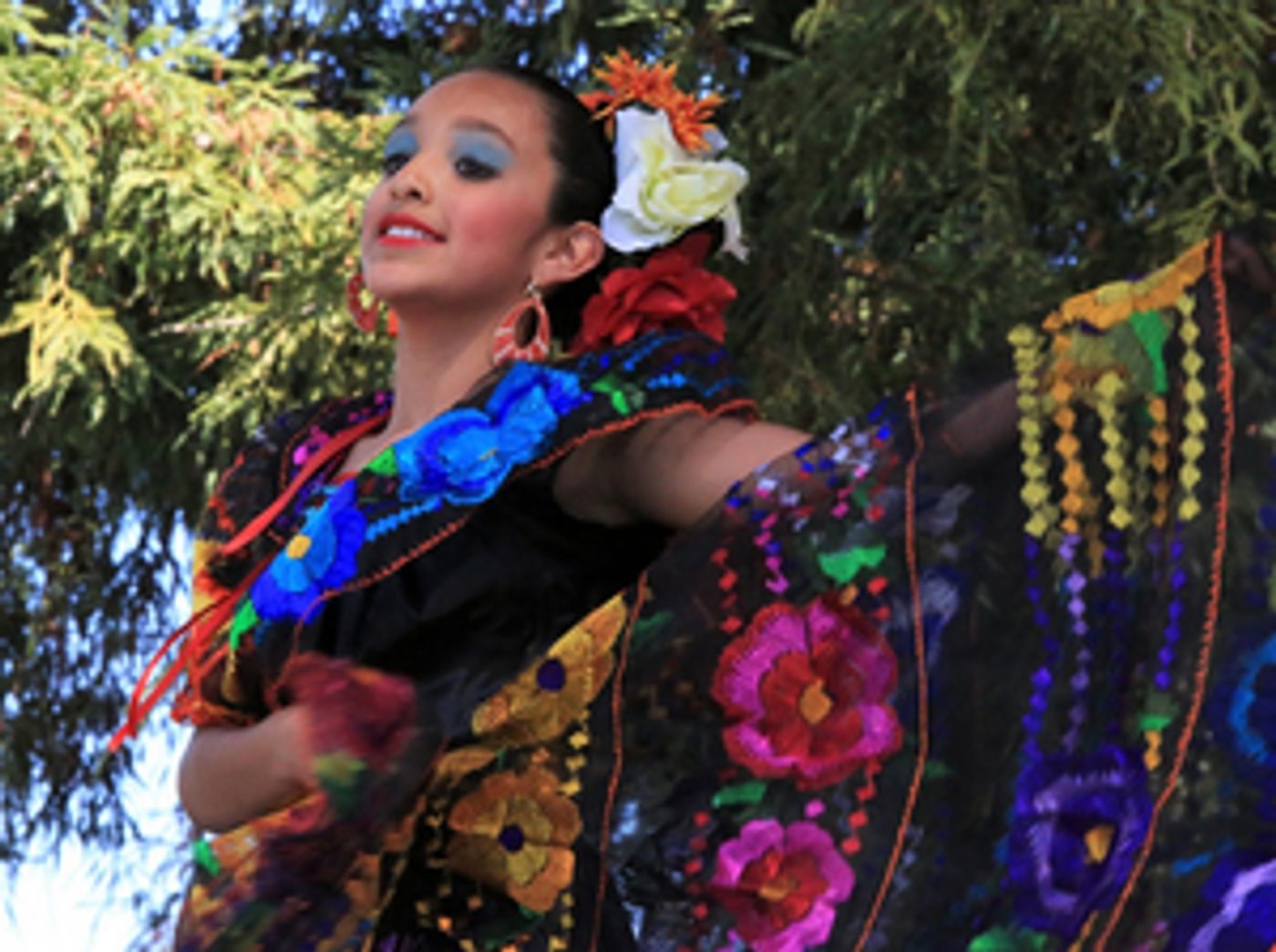 Luther Burbank Center for the Arts Hosts 11th Annual Fiesta de Independencia Luther Burbank Center for the Arts Hosts 11th Annual Fiesta de Independencia Image
