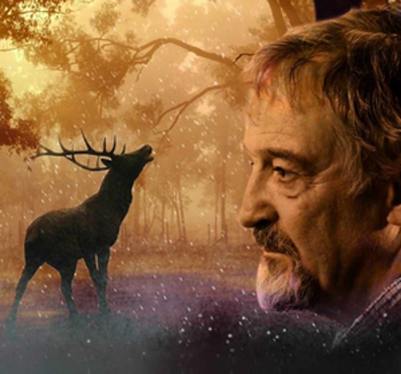 #FinboroughForFree Will Stream DEATH OF A HUNTER  Image