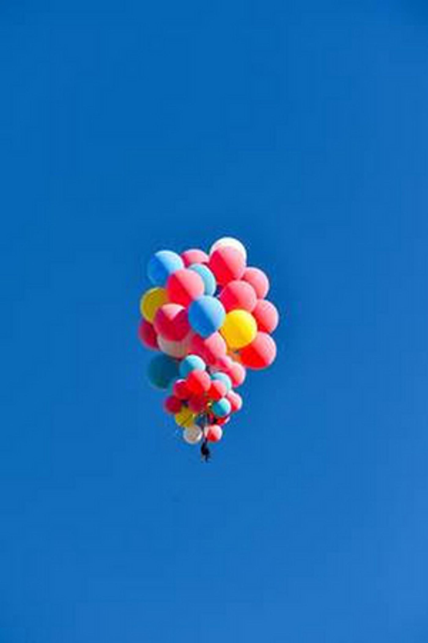 David Blaine Breaks YouTube Records as Most-Watched YouTube Originals Live Event to Date David Blaine Breaks YouTube Records as Most-Watched YouTube Originals Live Event to Date Image