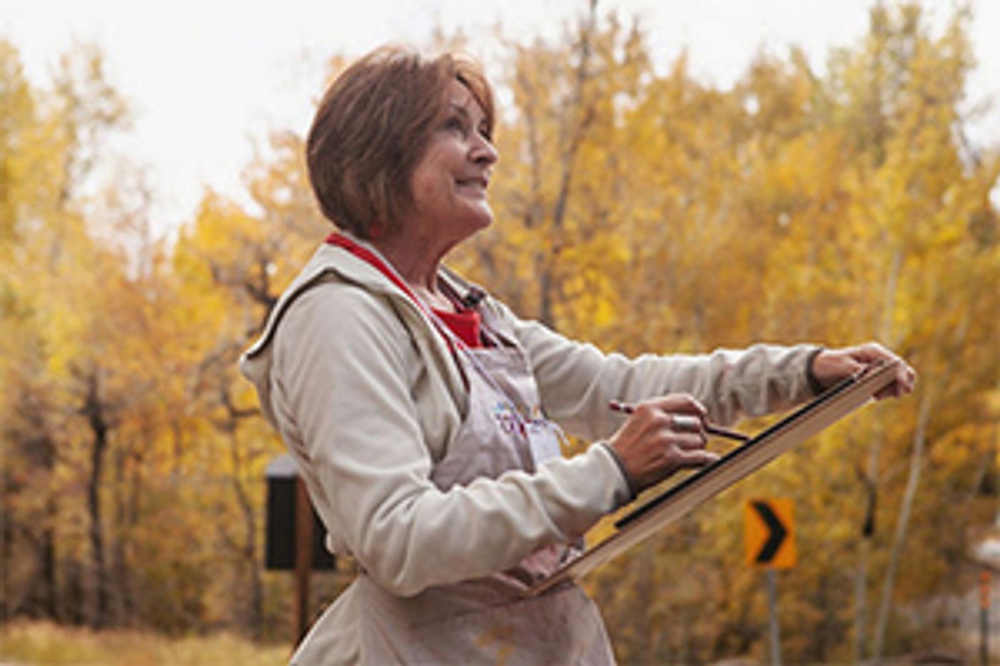 Central City Opera Announces Third Annual CENTRAL CITY PLEIN AIR FESTIVAL  Image