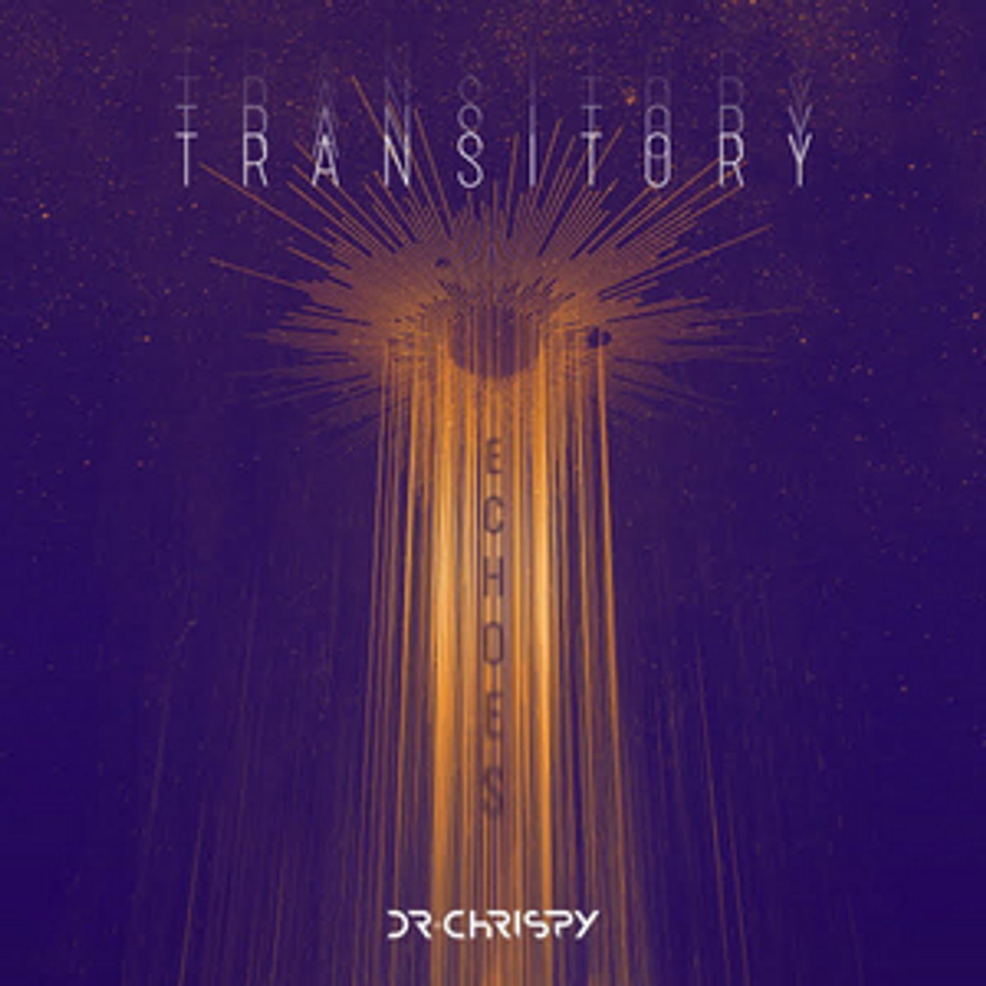 TRANSITORY ECHOES Introduces Six Vibrant New Remixes  Image