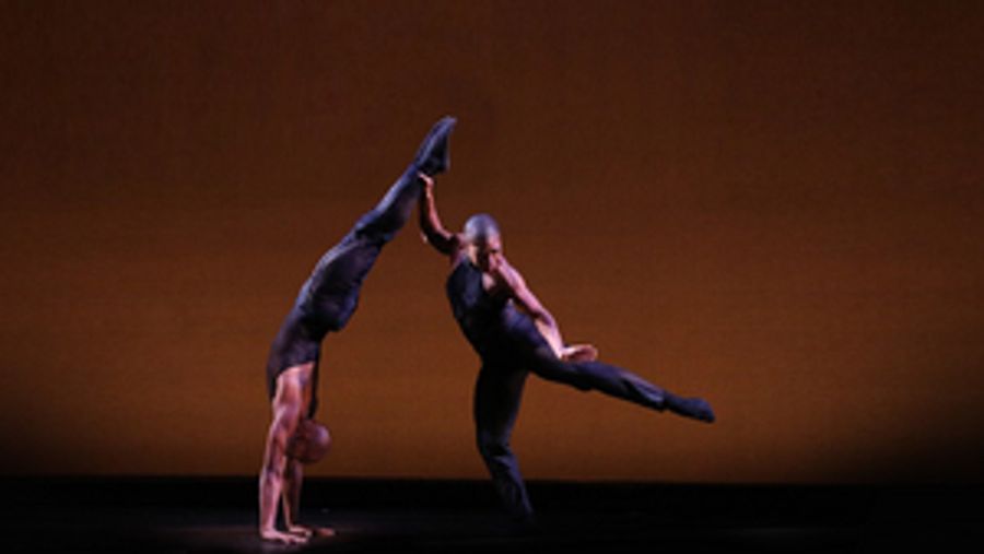 Dallas Black Dance Theatre Launches 44th Season With Online Performances Image