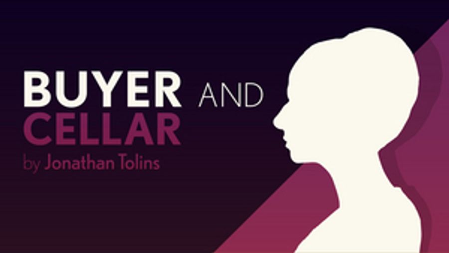 Riverside Theatre's BUYER AND CELLAR Goes Virtual Image