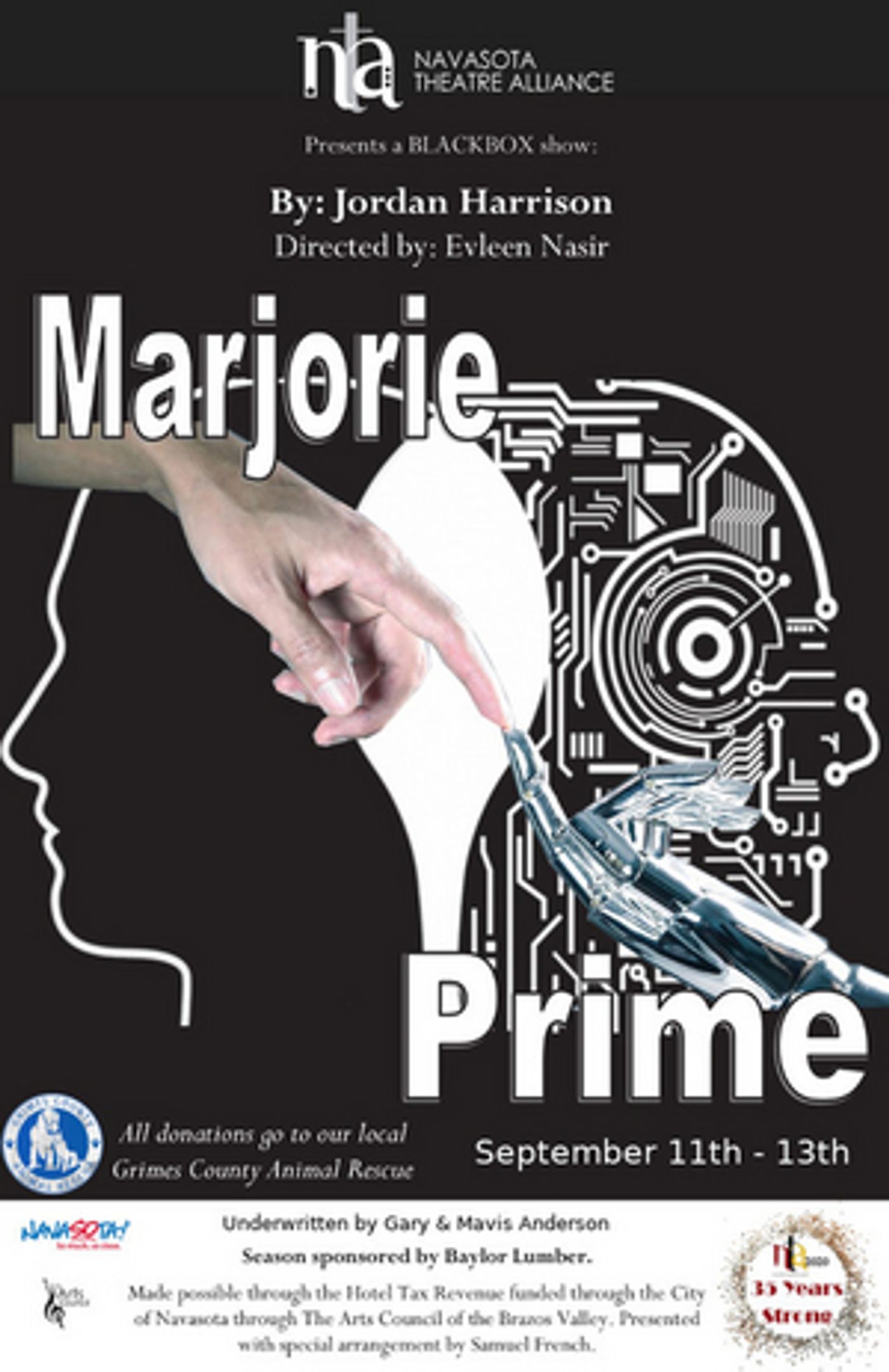 Navasota Theatre Alliance Presents First Virtual Show, MARJORIE PRIME  Image