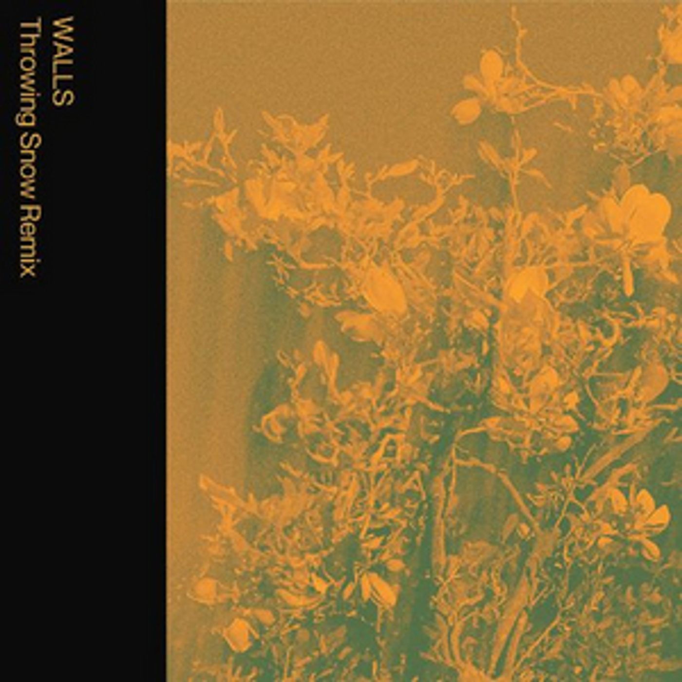 Throwing Snow Remixes Mild Minds Single 'WALLS'  Image