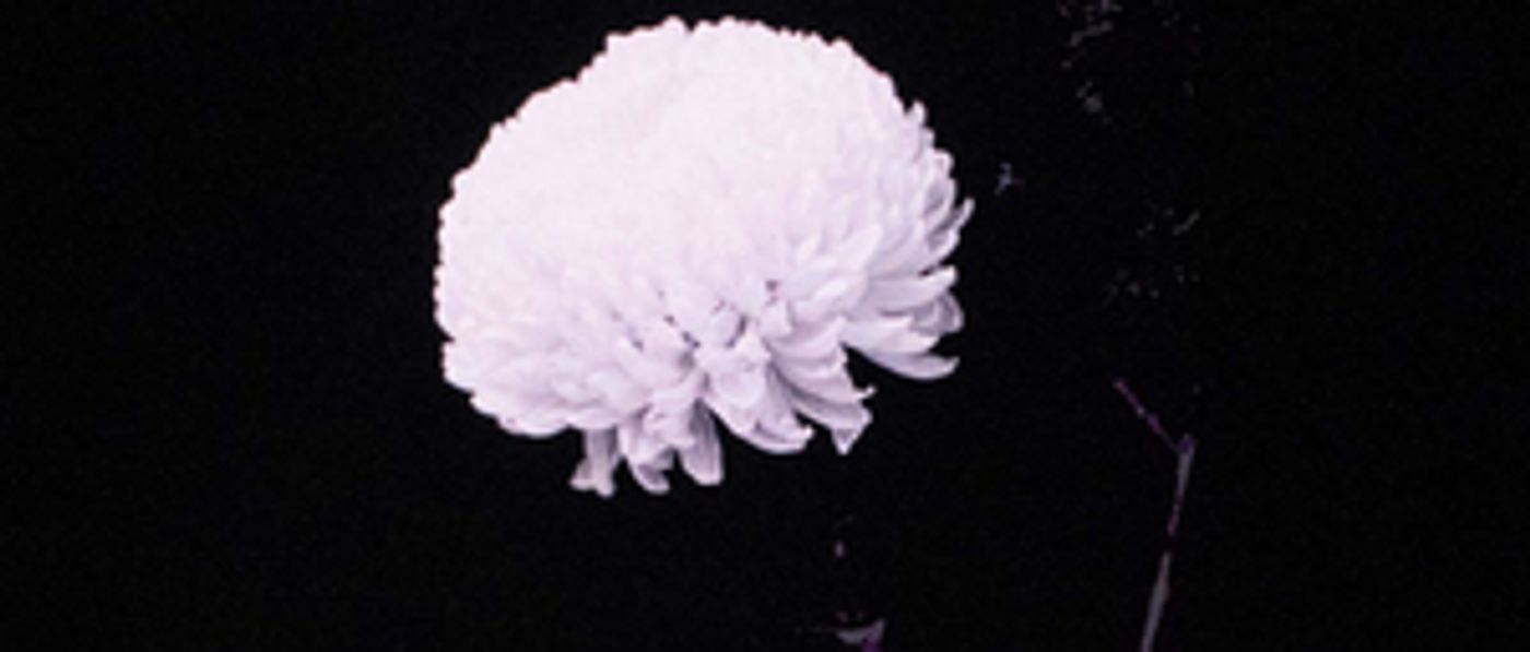 English National Opera Will Reopen the London Coliseum With Mozart's REQUIEM English National Opera Will Reopen the London Coliseum With Mozart's REQUIEM Image