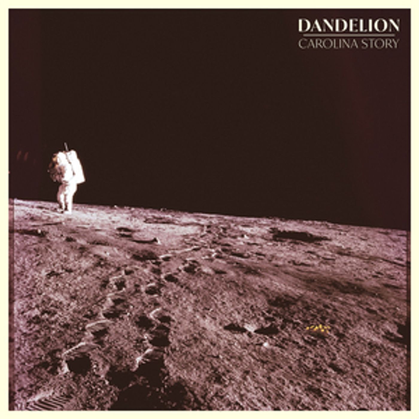 Carolina Story Receives Critical Acclaim For Sophomore Release 'Dandelion'  Image