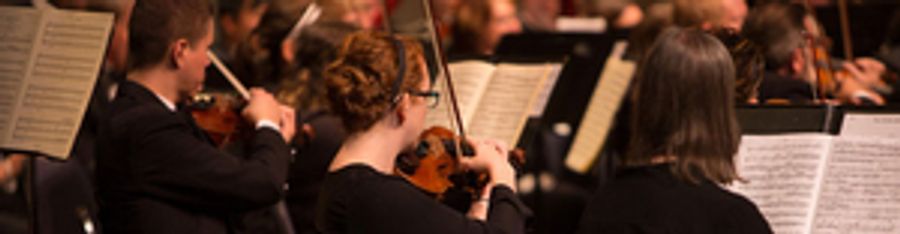 Lubbock Symphony Orchestra Postpones 2020-21 Season Image