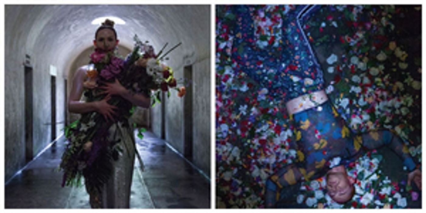 David Hertzberg's Dark Chamber Opera THE ROSE ELF Set for Release on Halloween David Hertzberg's Dark Chamber Opera THE ROSE ELF Set for Release on Halloween Image