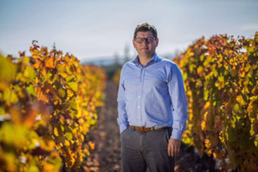 BODEGAS CARO-Wines You Should Know About Image