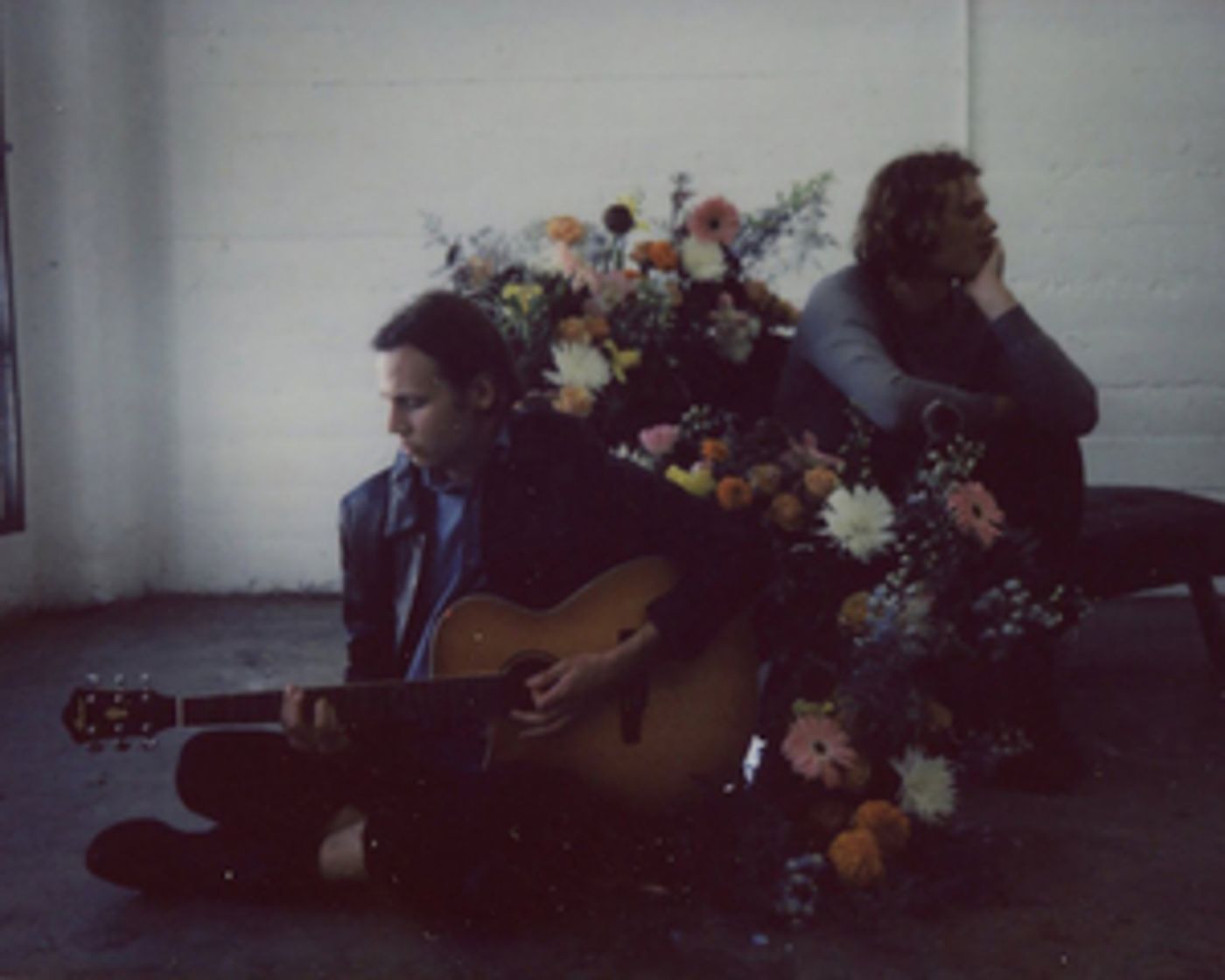 Death Bells Display 'New Signs of Life' Death Bells Display 'New Signs of Life' Image