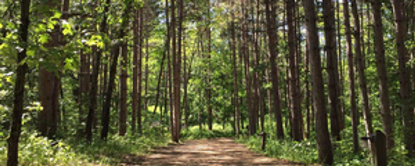 American Players Theatre Presents IF THESE TREES COULD TALK  Image