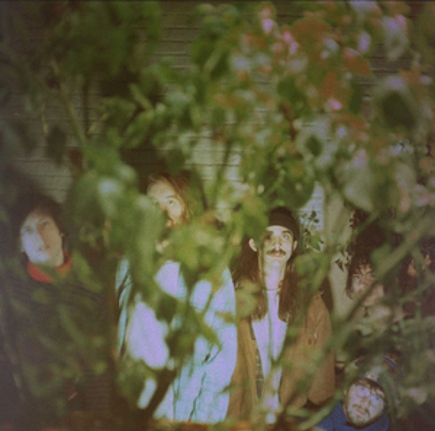 Pine Barons Share 'Little Spain' Pine Barons Share 'Little Spain' Image