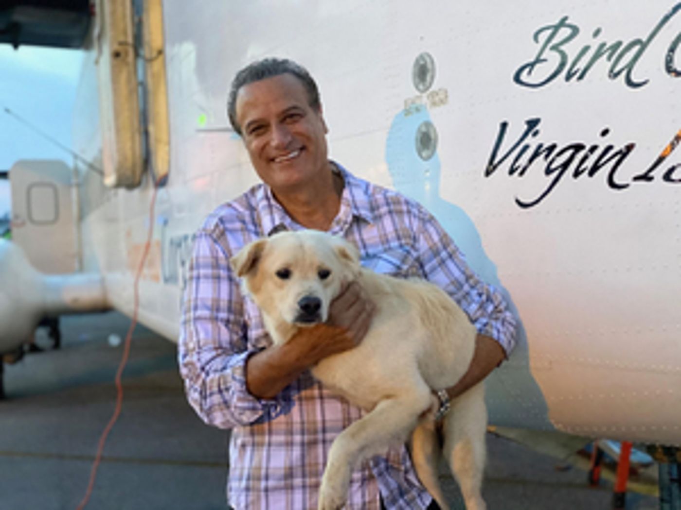 TO THE RESCUE Debuts on Syndication Oct. 17 TO THE RESCUE Debuts on Syndication Oct. 17 Image