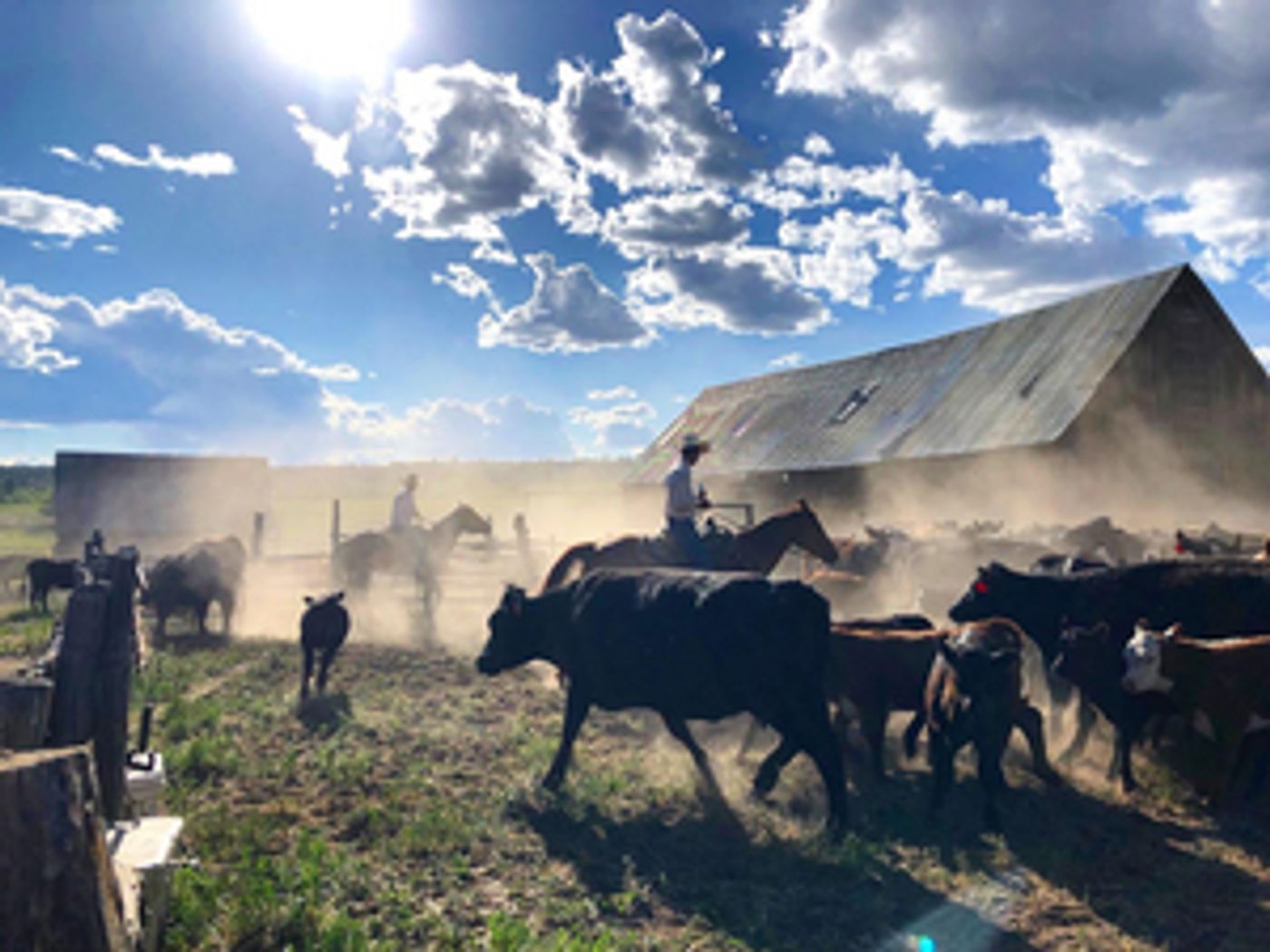 Opera Lafayette to Perform THE BLACKSMITH to Live Audience on Colorado Ranch Opera Lafayette to Perform THE BLACKSMITH to Live Audience on Colorado Ranch Image