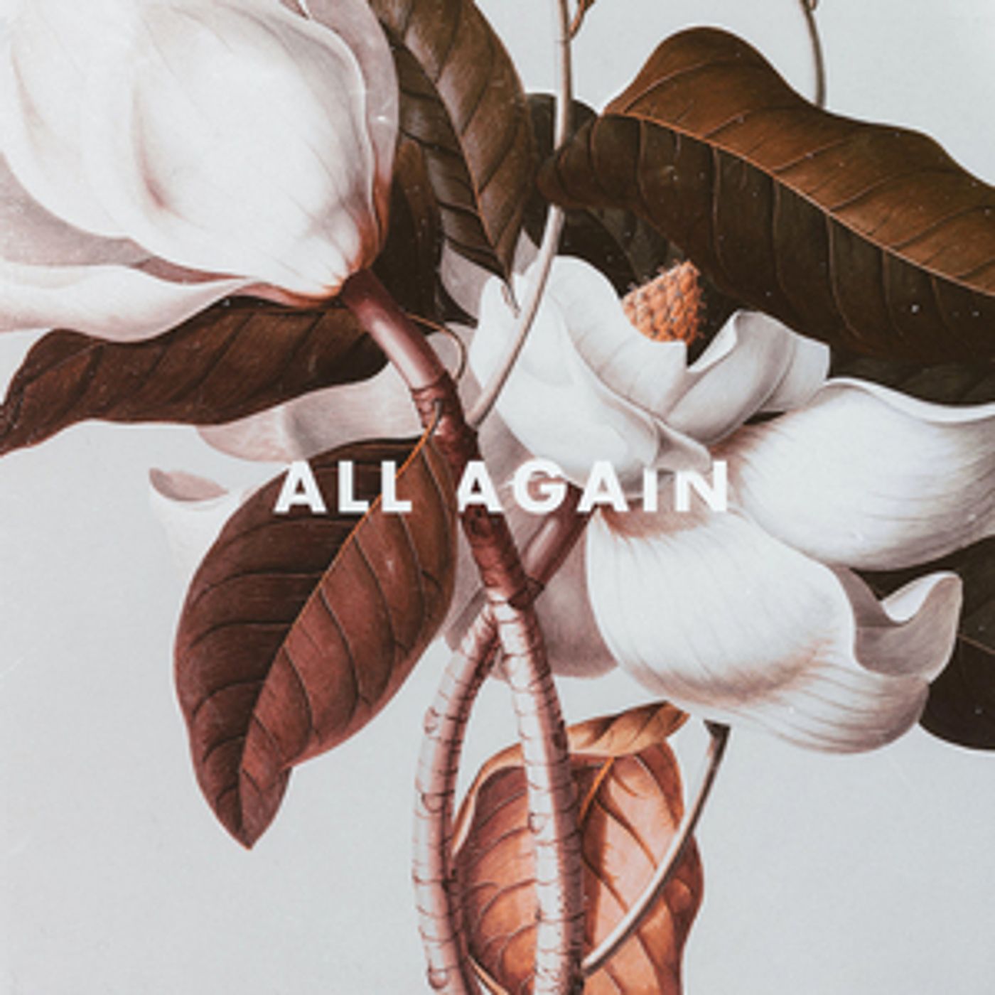 KRANE and Boombox Cartel Release Swoon-Worthy 'All Again' KRANE and Boombox Cartel Release Swoon-Worthy 'All Again' Image