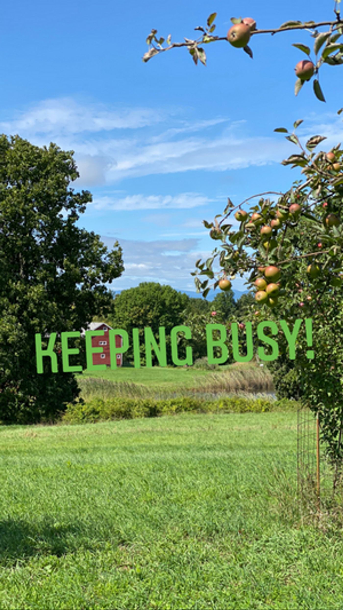 BWW Blog: Keeping Busy BWW Blog: Keeping Busy Image