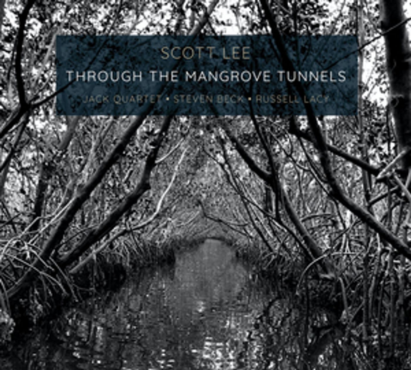 Scott Lee Releases THROUGH THE MANGROVE TUNNELS Performed by the JACK Quartet With Steven Beck & Russell Lacy Scott Lee Releases THROUGH THE MANGROVE TUNNELS Performed by the JACK Quartet With Steven Beck & Russell Lacy Image