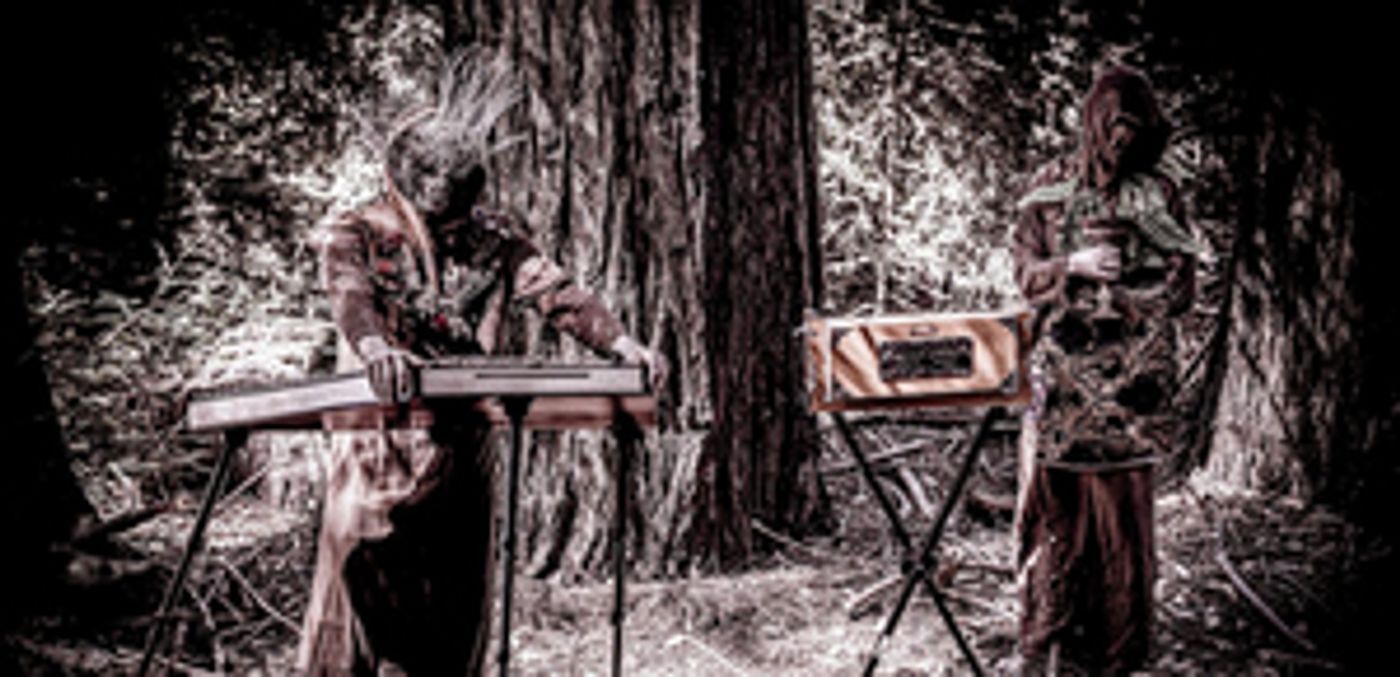 Botanist Reemerges With New Track 'Bacteria' Botanist Reemerges With New Track 'Bacteria' Image