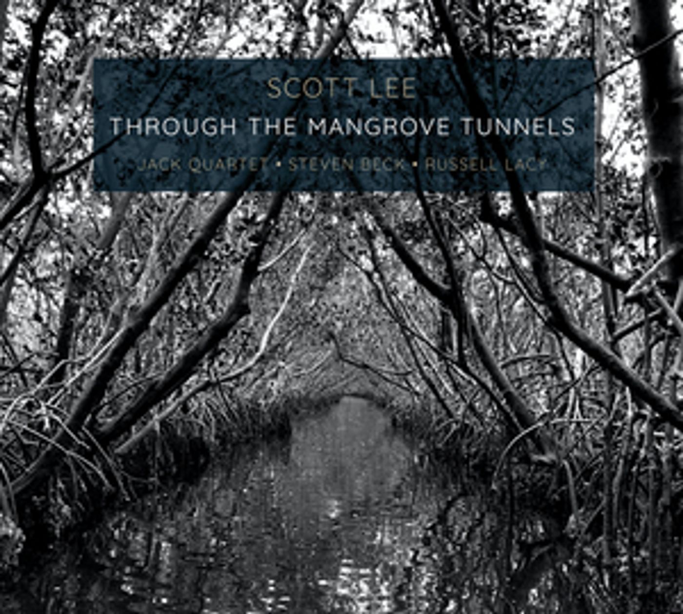 Composer Scott Lee Releases 'Through The Mangrove Tunnels'  Image