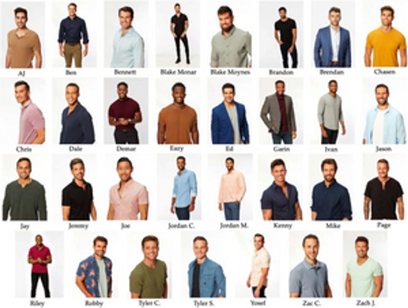 Meet the Cast of the Upcoming Season of THE BACHELORETTE  Image
