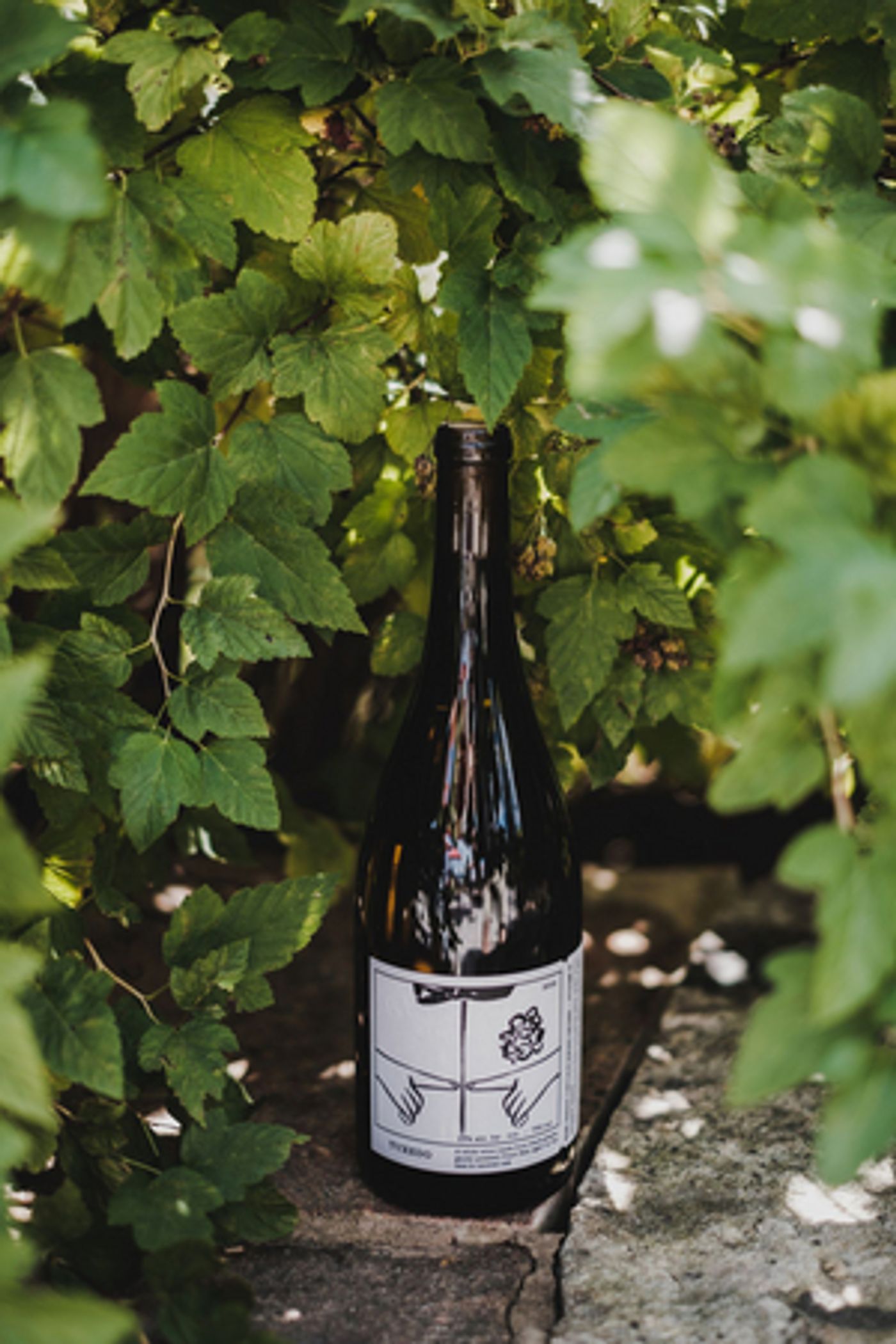 THE GOVERNOR'S CUP and BEST IN CLASS for NJ Wine Competition Announced  Image