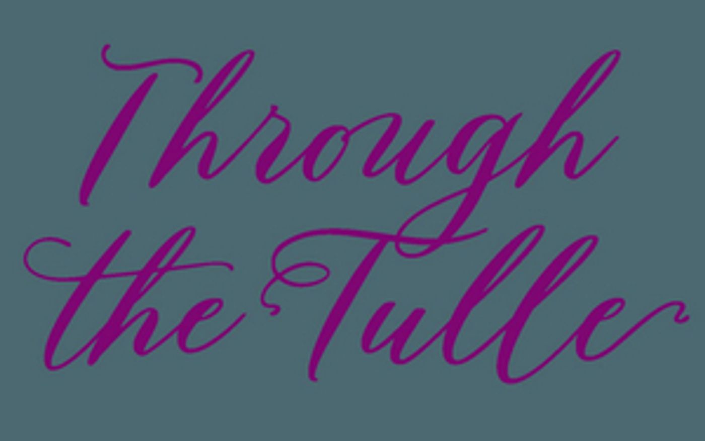 Ballet Theatre Company Announces THROUGH THE TULLE Exhibit  Image