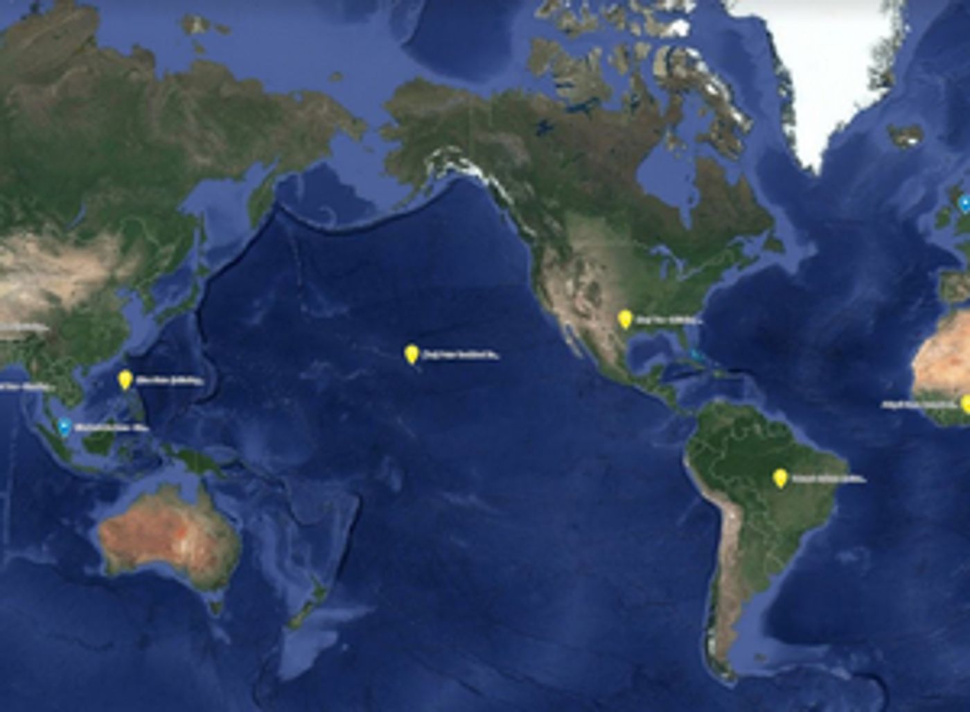 Intercultural Roots Launch New Response Project RIPPLES on World Mental Health Day  Image