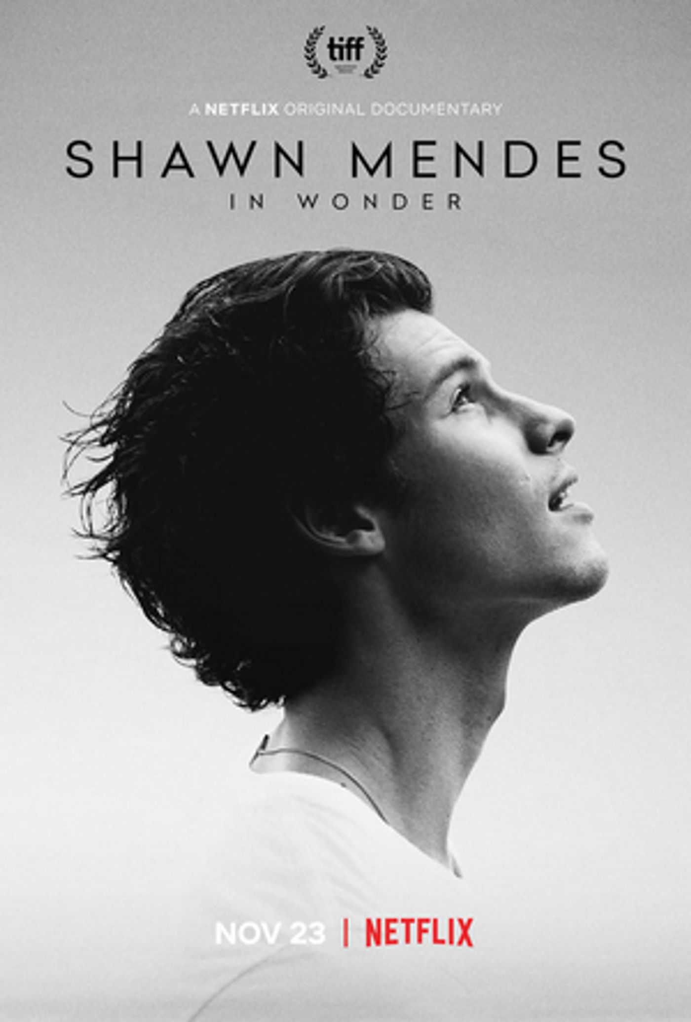 Shawn Mendes Documentary IN WONDER Comes to Netflix Nov. 23  Image