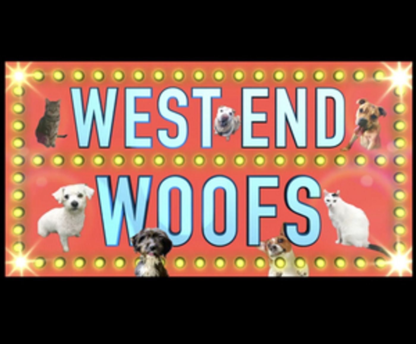 Bernadette Peters Presents WEST END WOOFS, Inspired By BROADWAY BARKS  Image