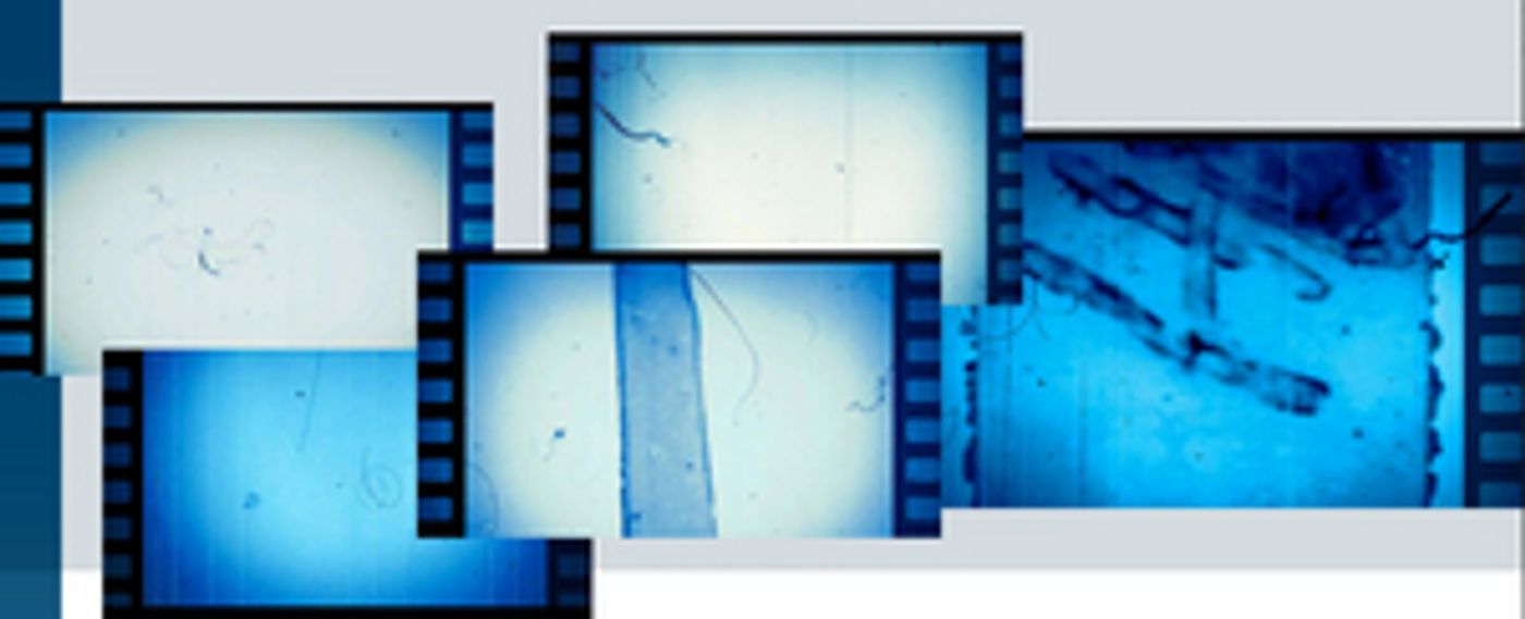 Anita Hill-Led Hollywood Commission Releases New Report on Workplace Bullying Anita Hill-Led Hollywood Commission Releases New Report on Workplace Bullying Image