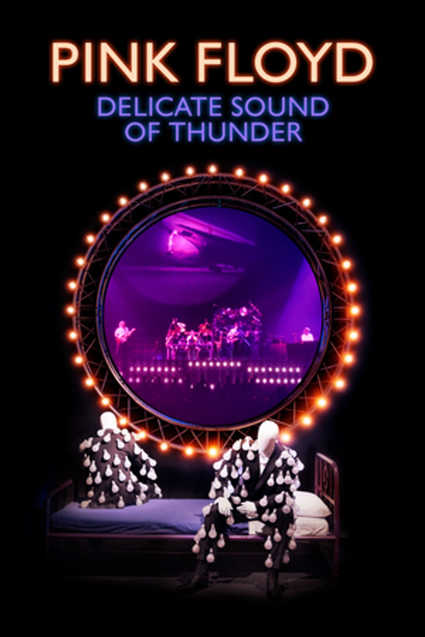 PINK FLOYD'S DELICATE SOUND OF THUNDER Coming to Digital December 1st  Image