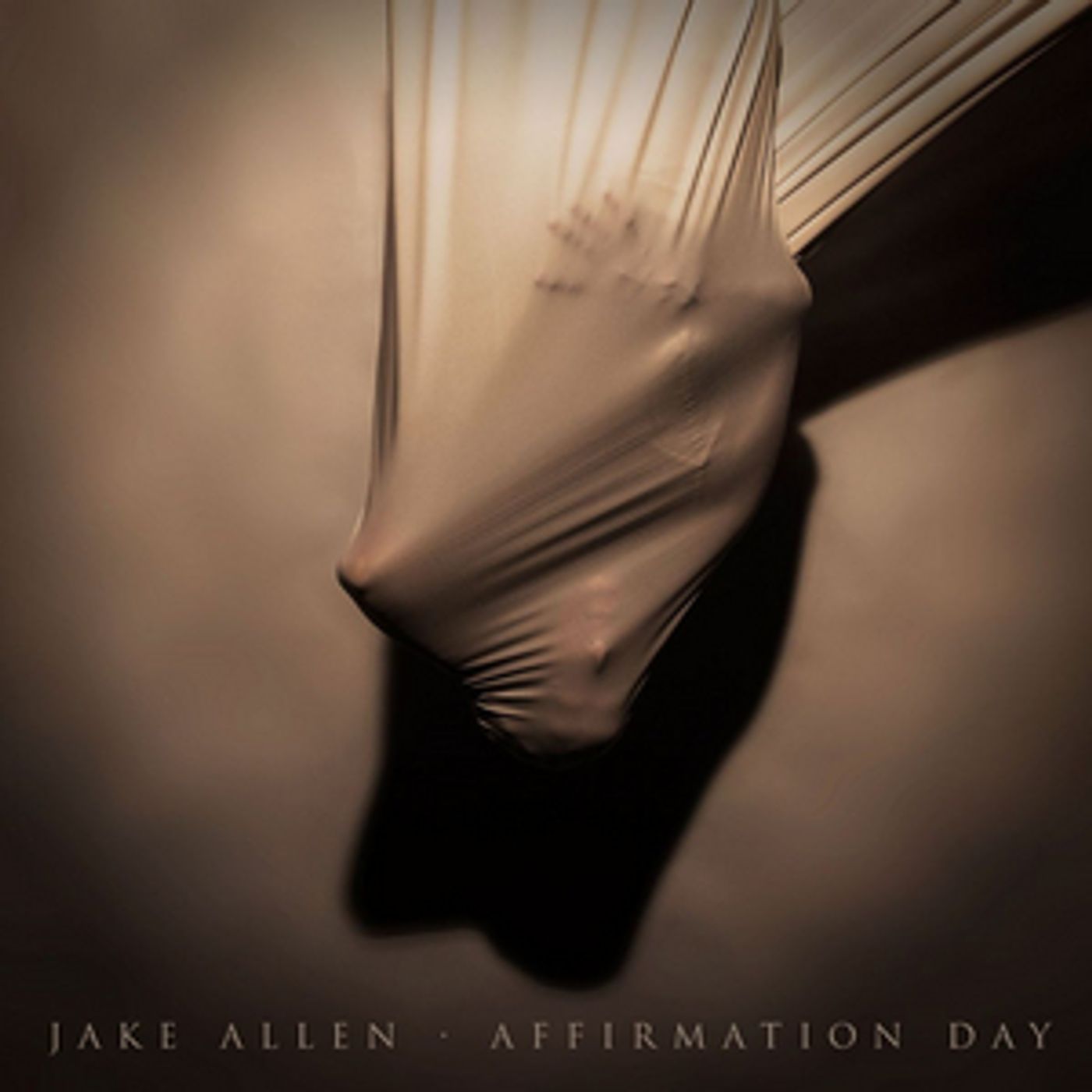 Jake Allen Releases His 4th Studio Album 'Affirmation Day' Jake Allen Releases His 4th Studio Album 'Affirmation Day' Image