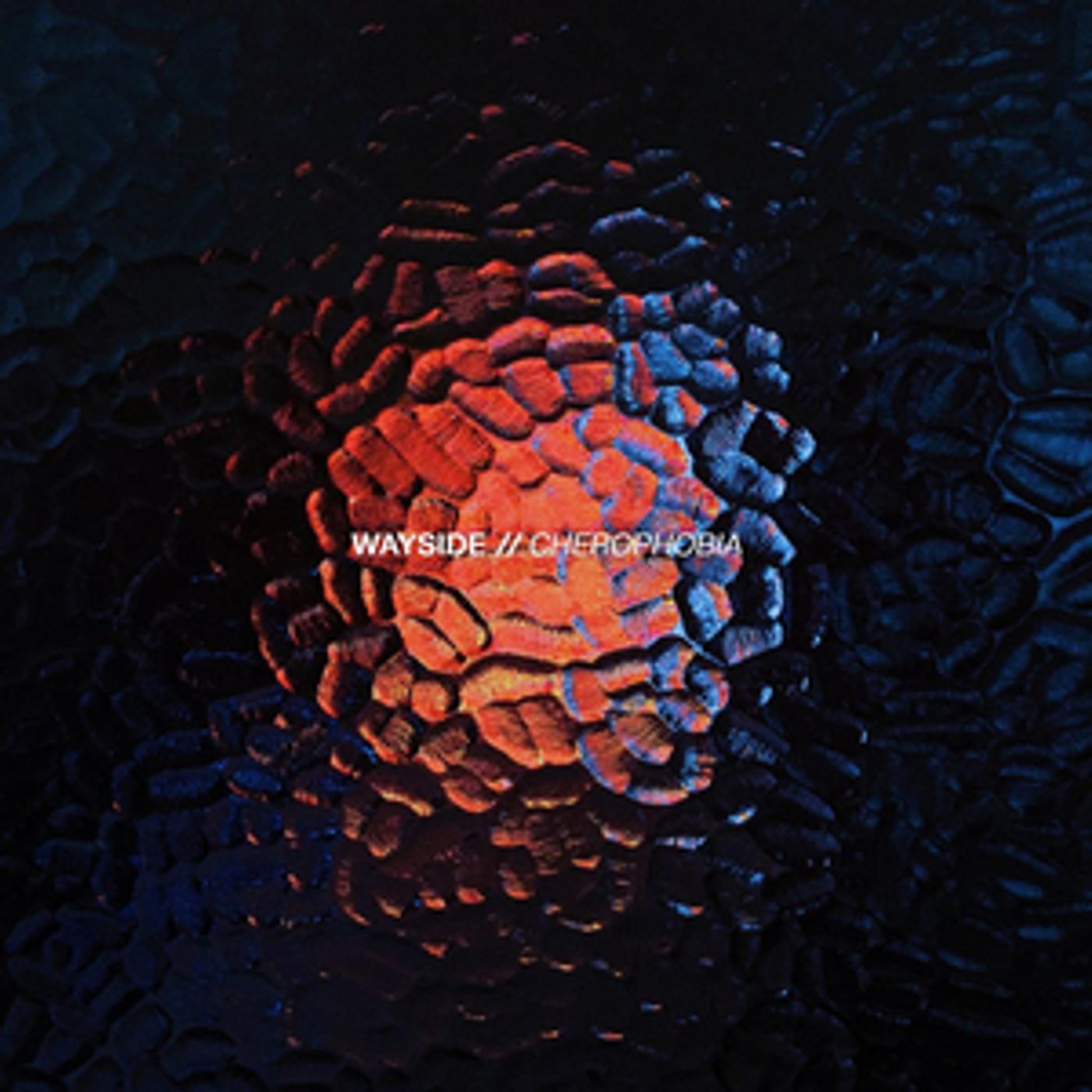 Wayside Drops New Single 'Cherophobia'  Image