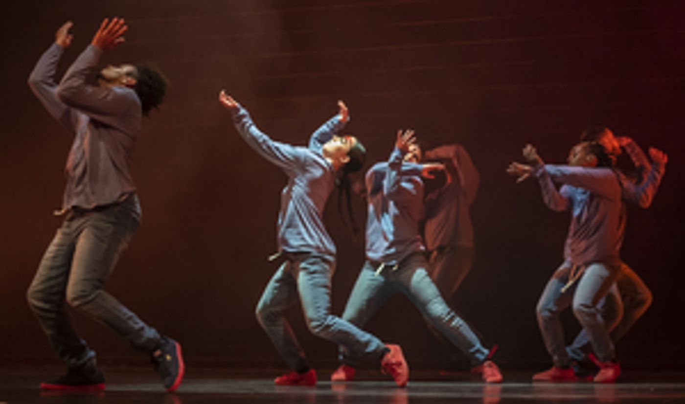 Chicago Dance Crash to Premiere THE LAST FIRST: PROFESSIONAL DANCEMAKING IN 2020 CHICAGO  Image