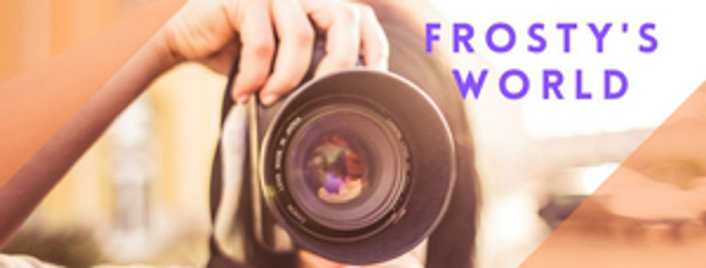 BWW Blog: Local Arts Organizations Pivot to New Models - Frosty's World #2  Image