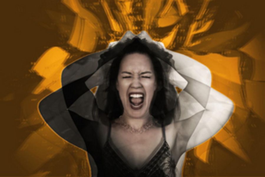 Asian American Plays Presents Karissa Murrell Myers' FRAGMENTED Image