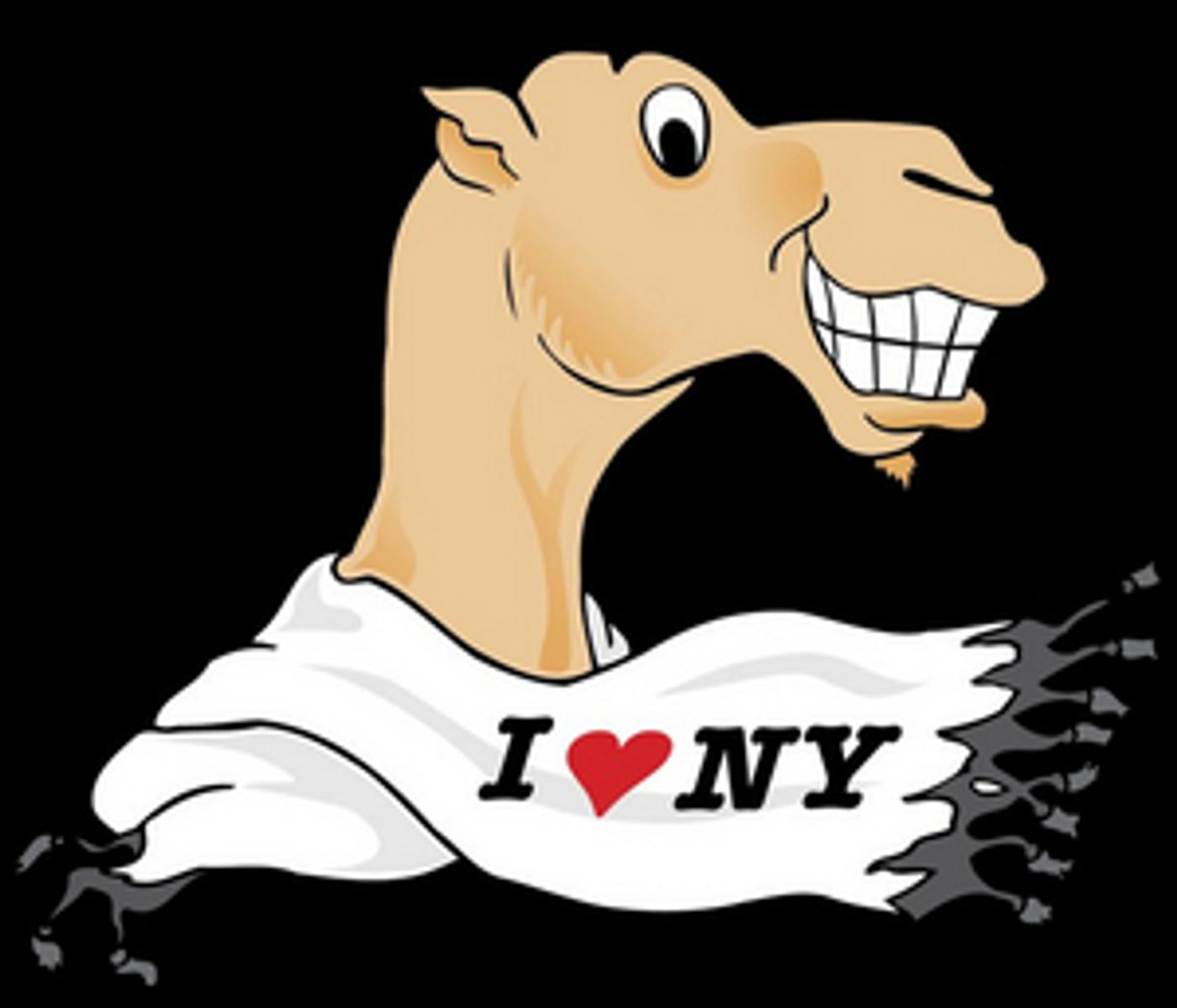 The New York Arab-American Comedy Festival Celebrates 17th Anniversary Virtually! The New York Arab-American Comedy Festival Celebrates 17th Anniversary Virtually! Image