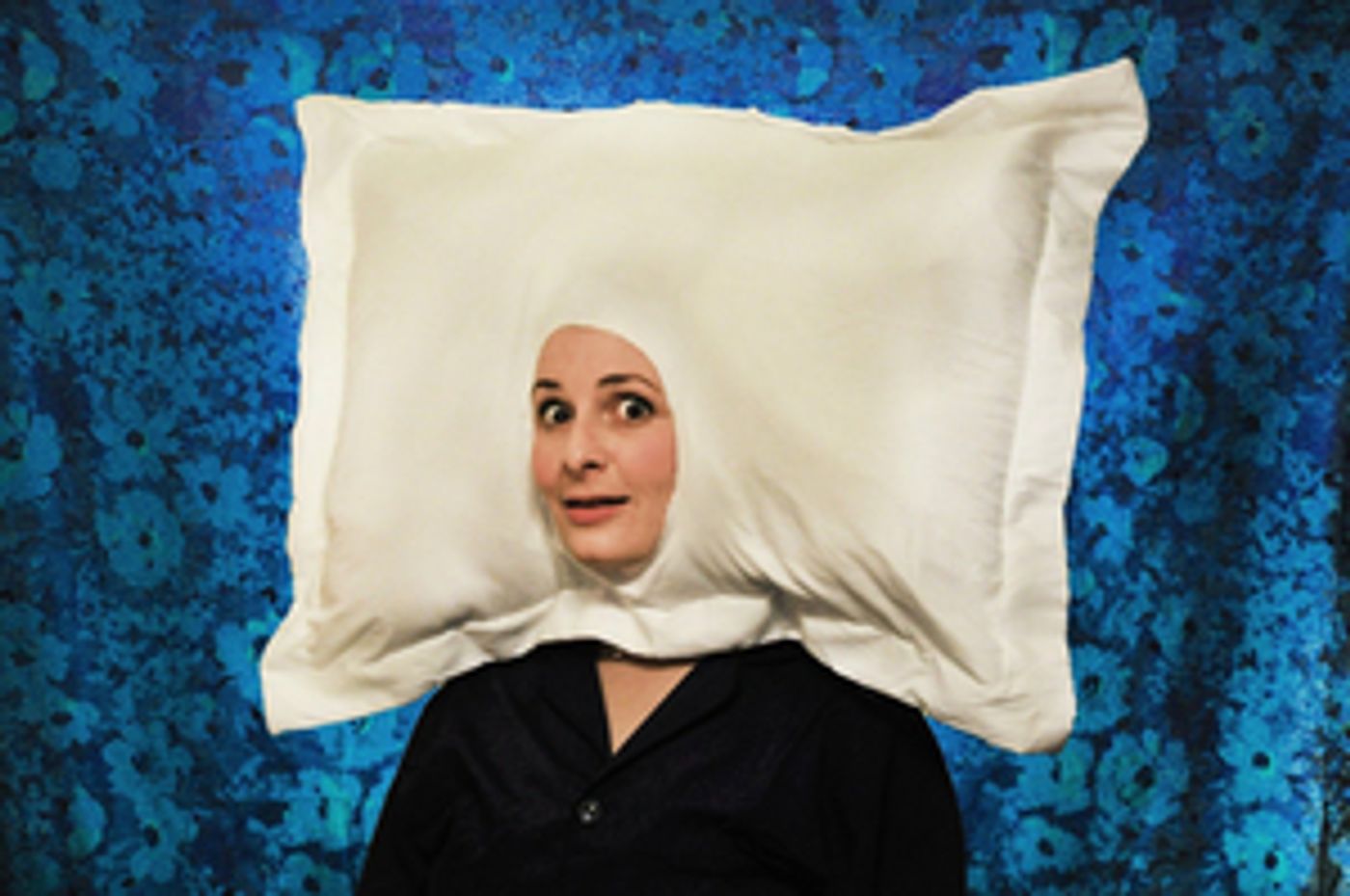 New Hampshire Theatre Project Presents 2020 - 2021 MainStage Season Opener THE ADVENTURES OF SLEEPYHEAD  Image