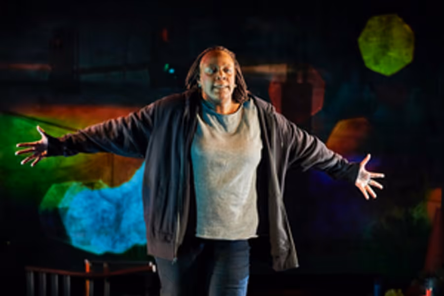Rattlestick, ALL ARTS, and 7 U.S. Theaters Unite to Premiere Dael Orlandersmith's UNTIL THE FLOOD Image