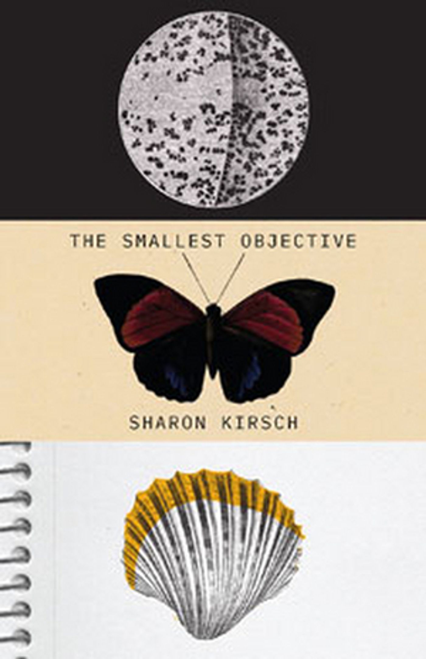New Star Books Announces Virtual Book Launch of THE SMALLEST OBJECTIVE to Coincide With Jewish Book Month  Image