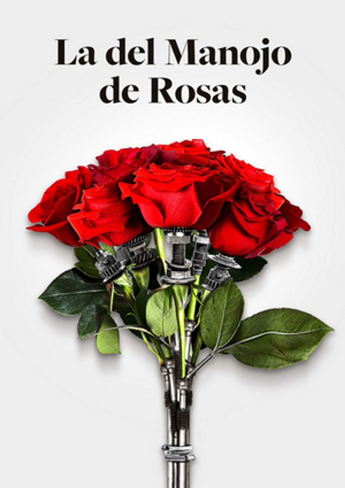 Ruth Iniesta, Sylvia Parejo y Ángel Ruiz en LA DEL MANOJO DE ROSAS en el Teatro de la Zarzuela Ruth Iniesta, Sylvia Parejo y Ángel Ruiz en LA DEL MANOJO DE ROSAS en el Teatro de la Zarzuela Image