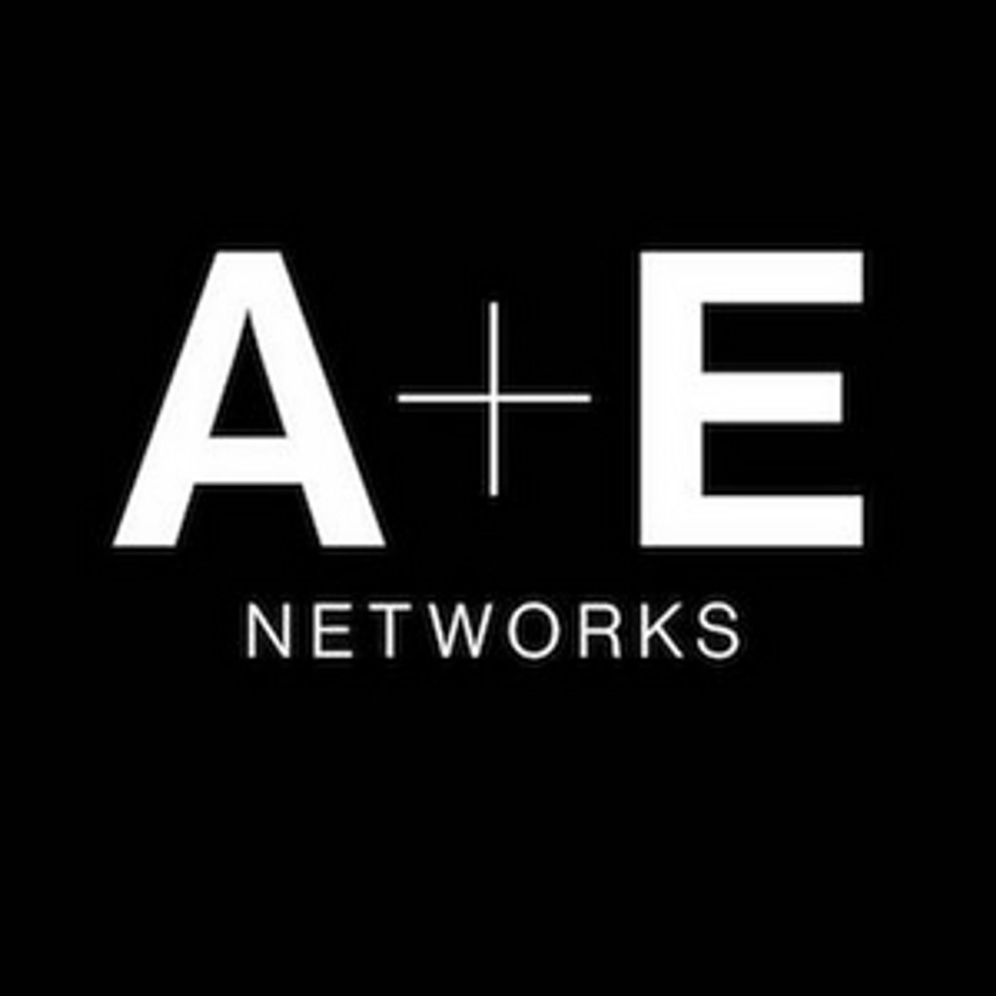 A+E Networks Will Honor Veterans Nov. 11  Image