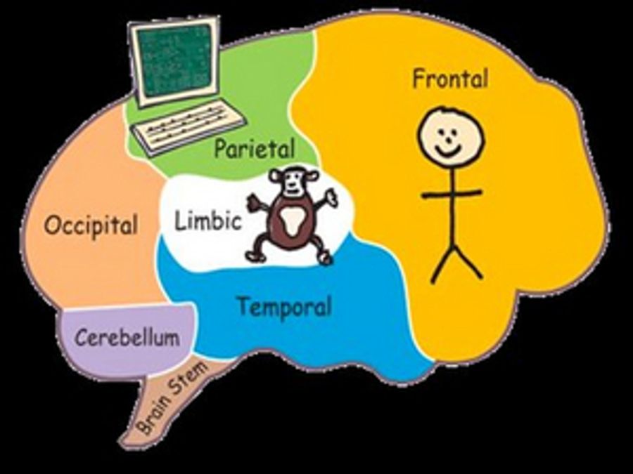 Chimp Management Offers Practical Steps for Artists to Overcome Virus Stress and Anxiety Image