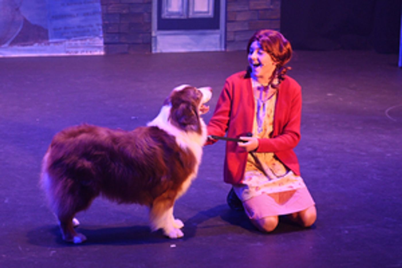 Review: ANNIE at Harlequin Musical Theatre Review: ANNIE at Harlequin Musical Theatre Image