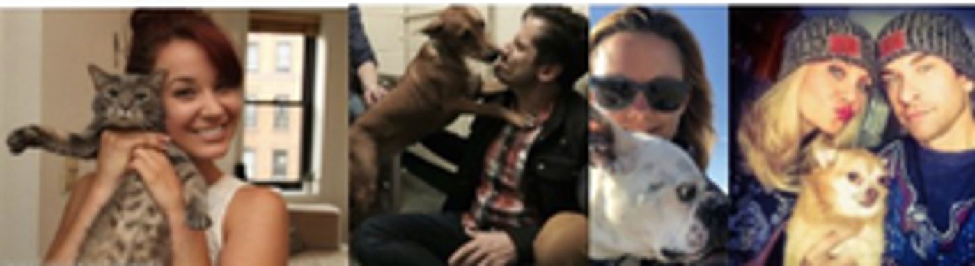 Sierra Boggess, Andy Karl, Jesse Mueller and More Join STARS IN THE HOUSE Benefit for Humane Society of New York  Image