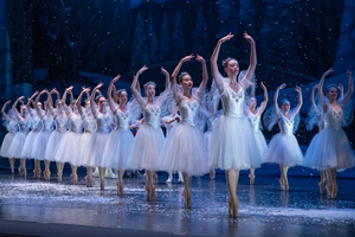 Manassas Ballet Theatre Presents Virtual Production of THE NUTCRACKER  Image