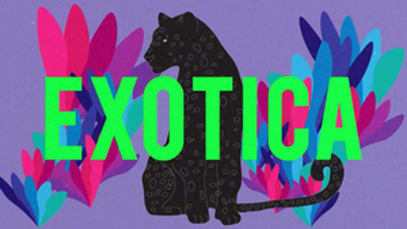 Purple Disco Machine Releases New Single 'Exotica'  Image