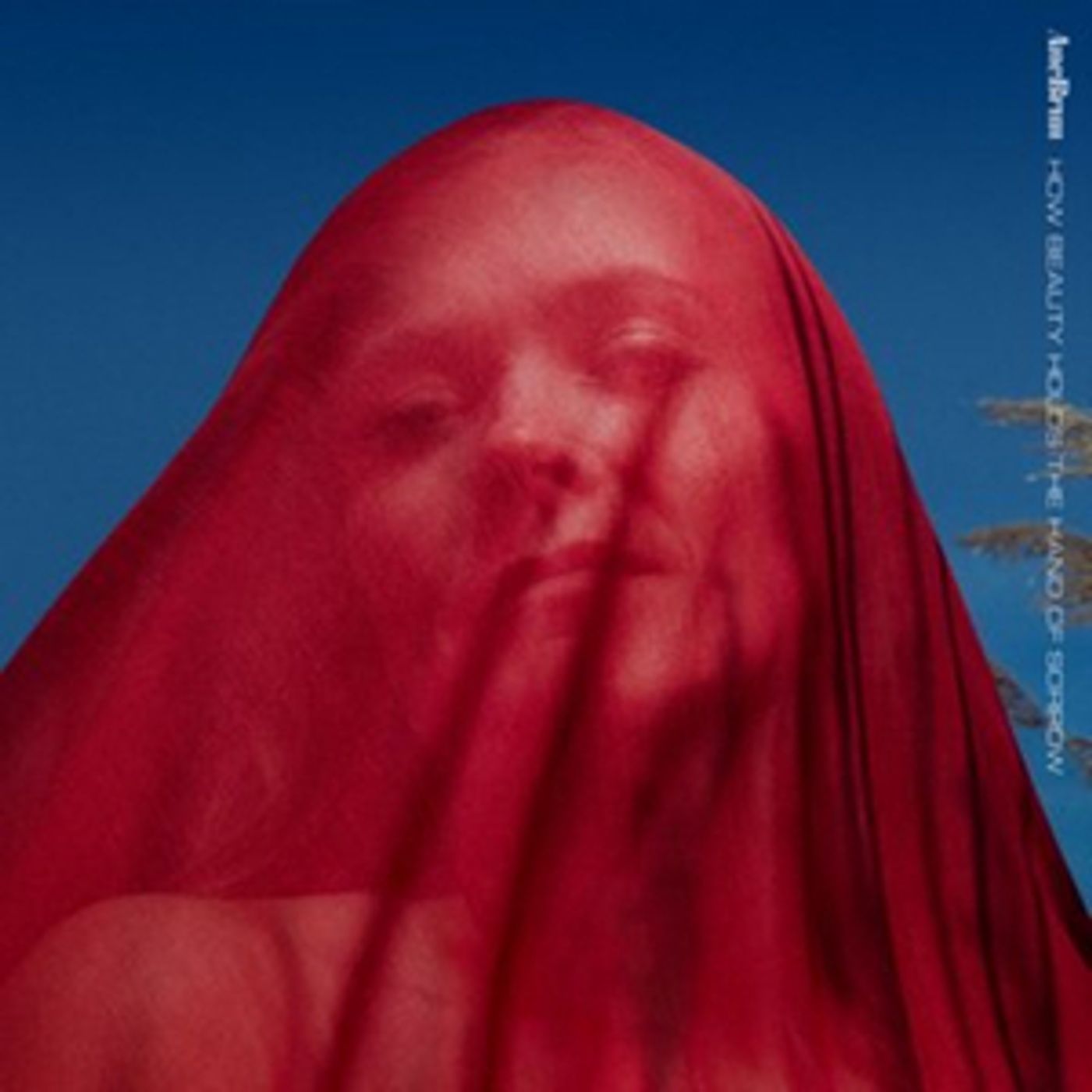 Ane Brun 'How Beauty Holds The Hand of Sorrow' LP Out Now  Image